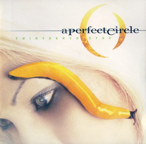 A Perfect Circle - Thirteenth Step